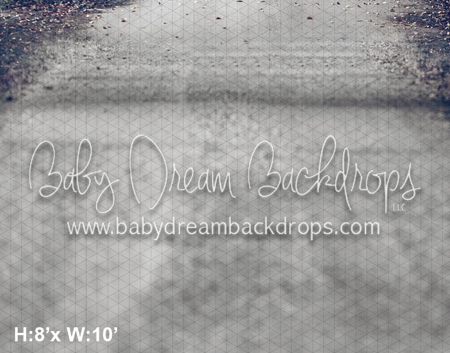 Ireland Hedges Road Snow Floor