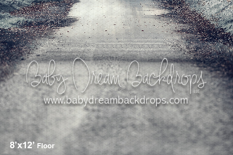 Ireland Hedges Road Snow Floor