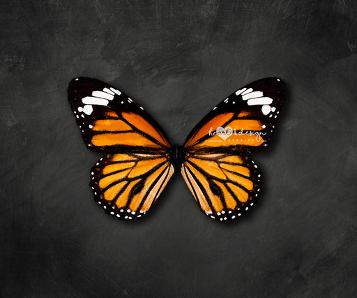 Itty Bitty Butterfly 60hx80w MR