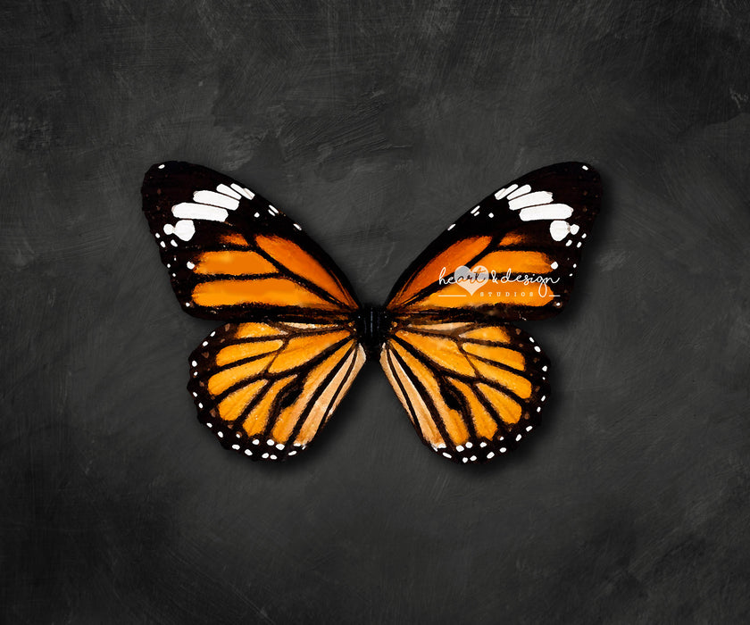 Itty Bitty Butterfly 60hx80w MR