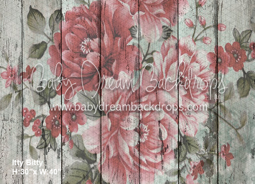 Itty Bitty Madlynn (BD)