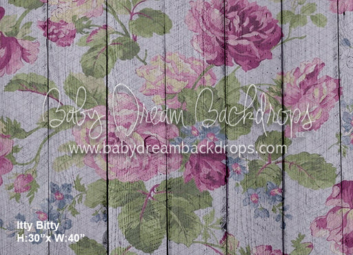 Itty Bitty Nellie (BD)