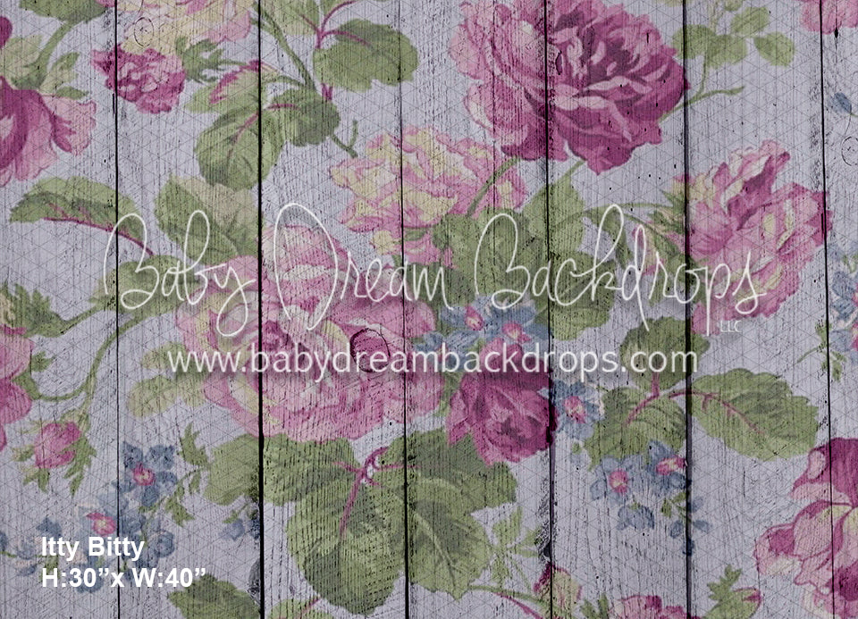 Itty Bitty Nellie (BD)