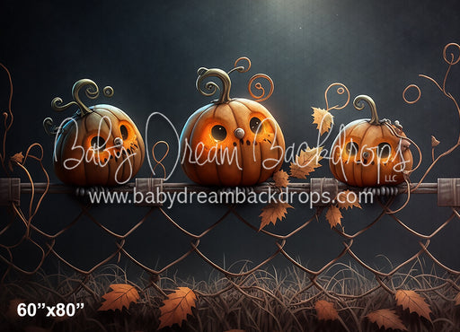 Jack-O-Lantern Owls (AZ)