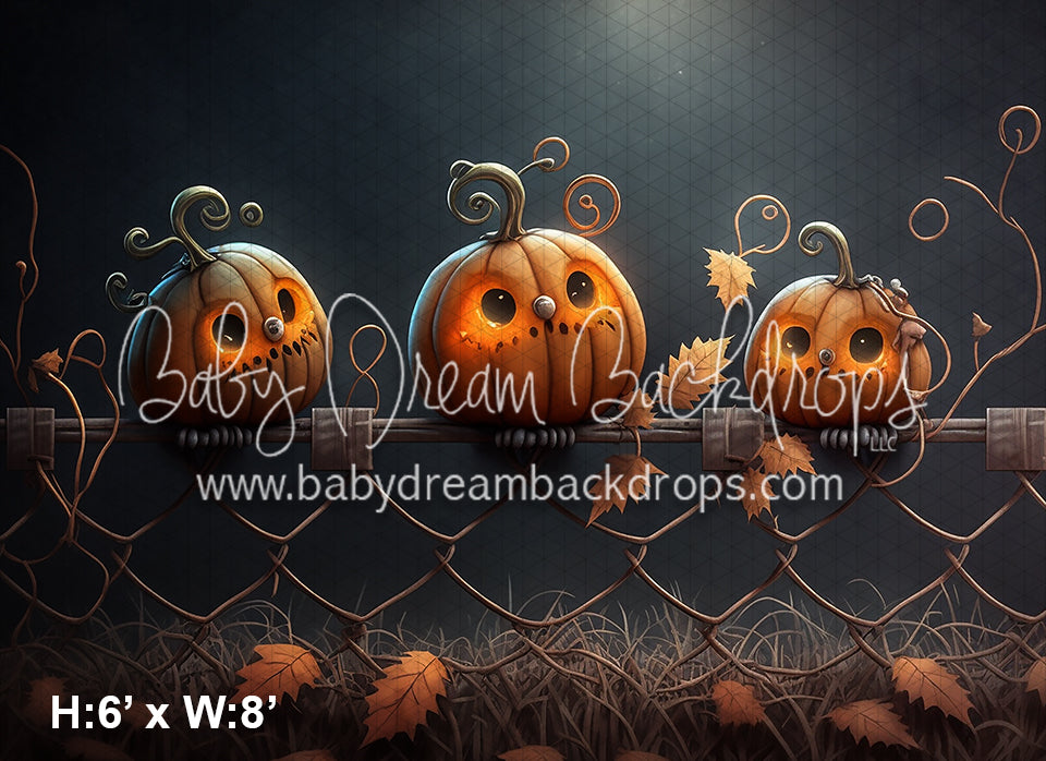 Jack-O-Lantern Owls (AZ)