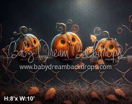 Jack-O-Lantern Owls (AZ)