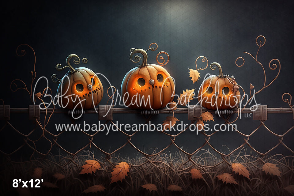 Jack-O-Lantern Owls (AZ)