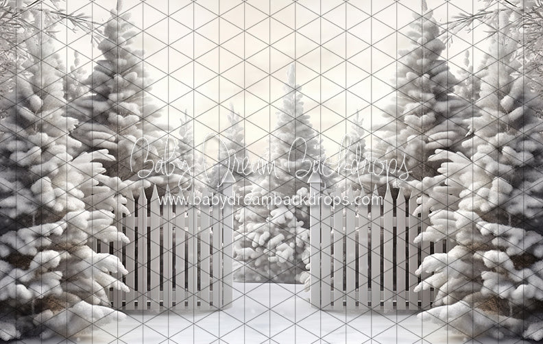 Jack Frost Forest Entry (CC)