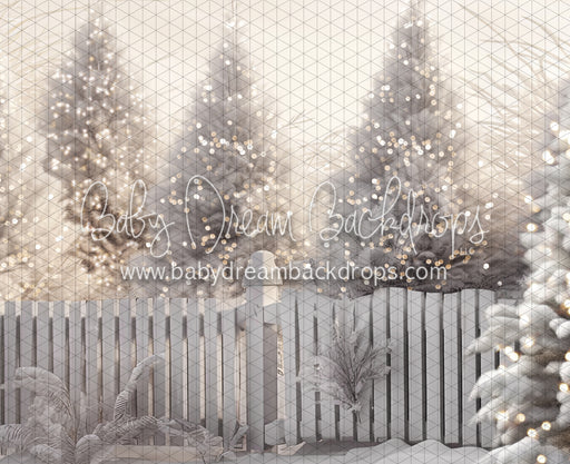 Jack Frost Forest Lights (CC)