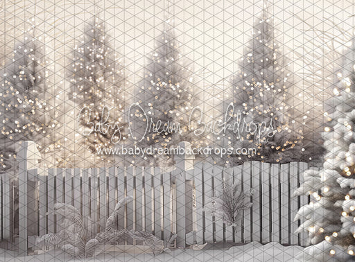 Jack Frost Forest Lights (CC)