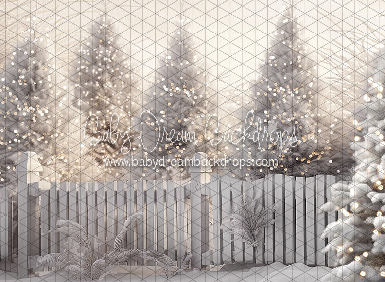 Jack Frost Forest Lights (CC)