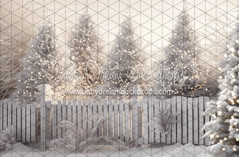 Jack Frost Forest Lights (CC)