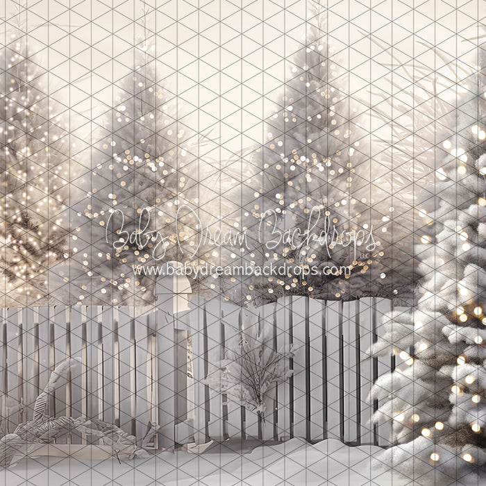 Jack Frost Forest Lights (CC)