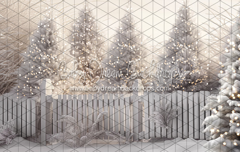 Jack Frost Forest Lights (CC)