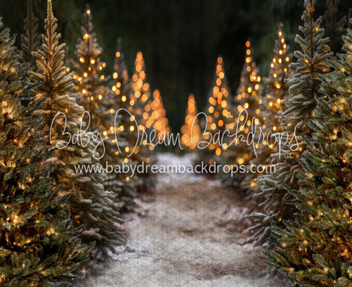 Jingle All Day Path (JA)