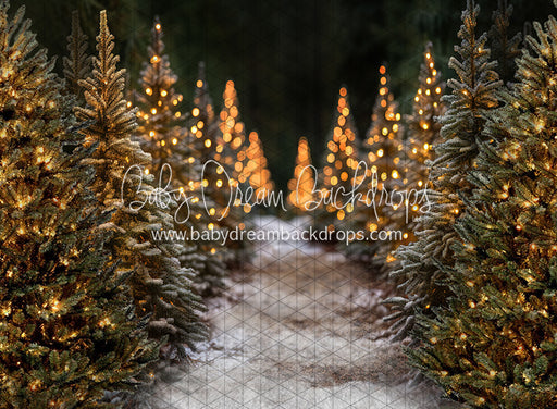 Jingle All Day Path (JA)