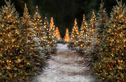 Jingle All Day Path (JA)