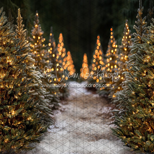 Jingle All Day Path (JA)