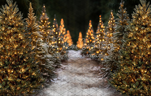 Jingle All Day Path (JA)