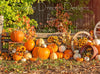 Autumn Lane Backdrop SD