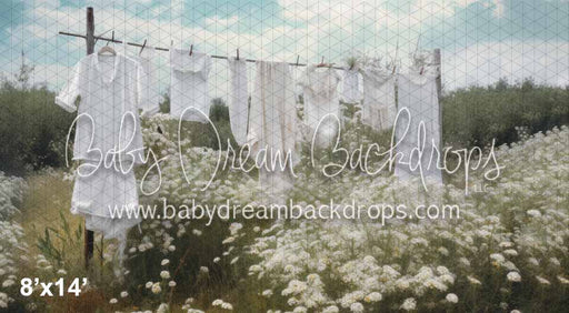 Lace and Linens (KS)