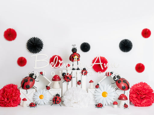 Lady Bug Celebration