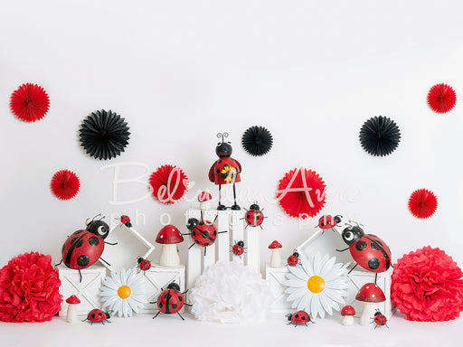 Lady Bug Celebration
