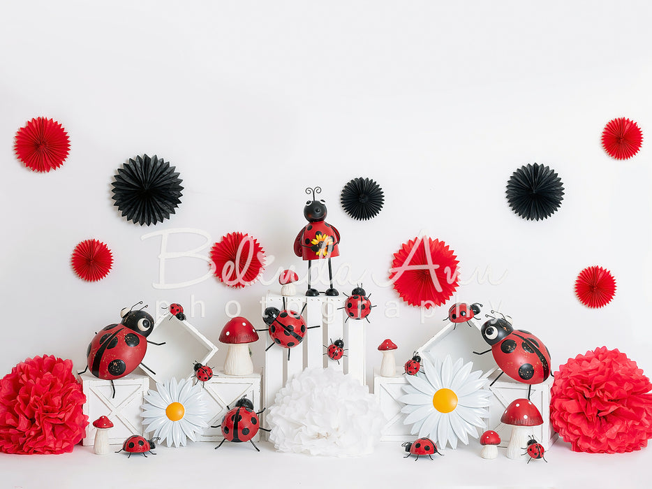 Lady Bug Celebration