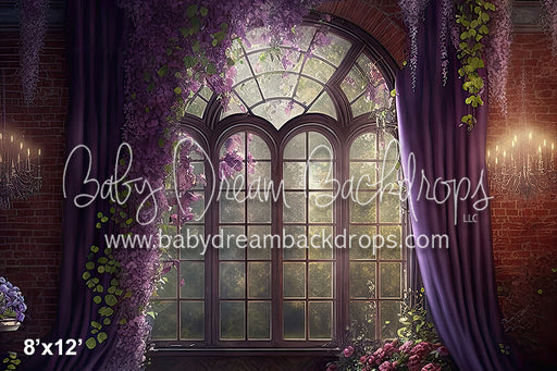 Lavender Flame (BD)