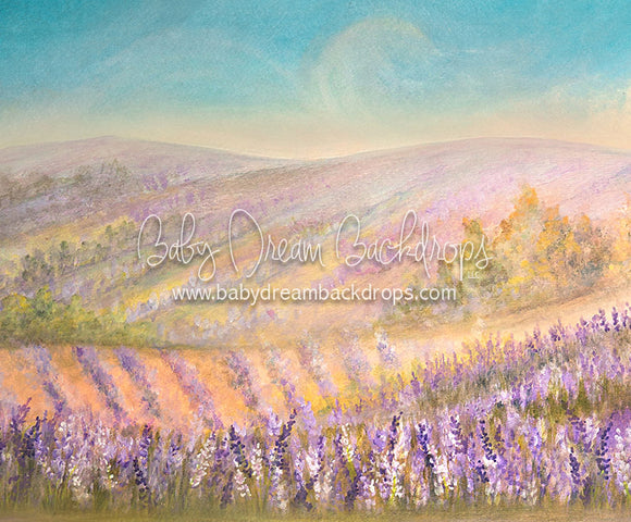 Lavender Morning - 50x60 - SS  