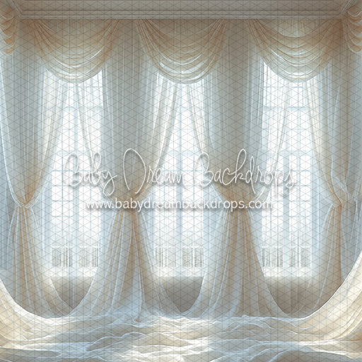 Lavish Drapes and Panes (BD)