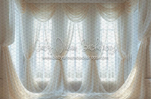 Lavish Drapes and Panes (BD)