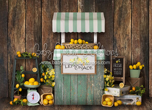 Lemon Party - 5x7 Backdrop - BS (Matte Fleece)