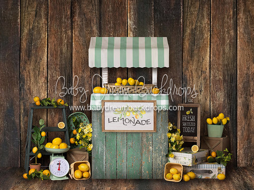 Lemon Party - 6x8 - BS (Fleece)