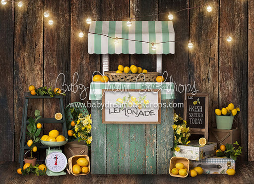 Lemon Party Lights - 5x7 Backdrop - BS (Matte Fleece)