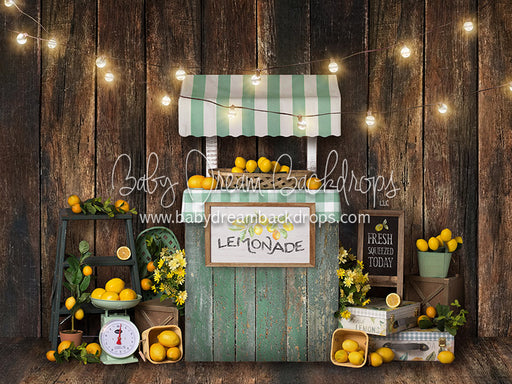 Lemon Party Lights - 6x8 - BS (Fleece)