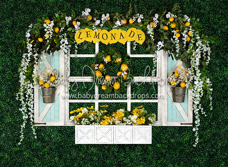 Lemonade Window