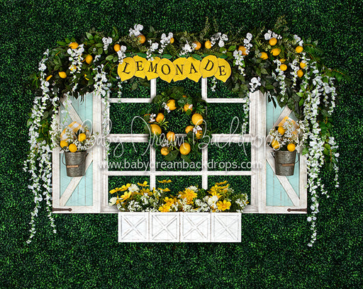 Lemonade Window