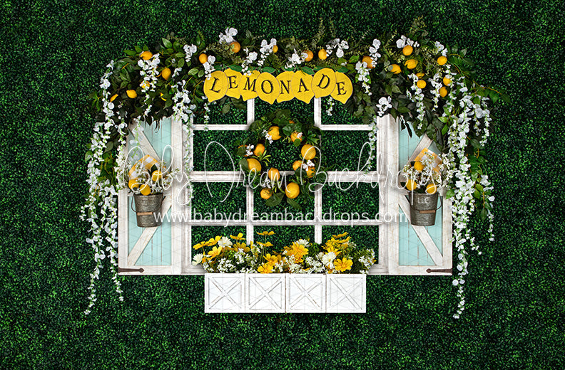 Lemonade Window