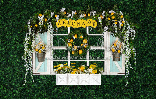 Lemonade Window
