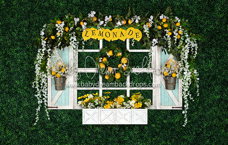 Lemonade Window