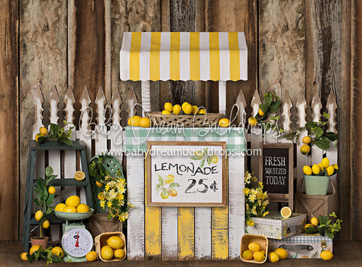 Lemonade Day - 60Hx80W - BS (Matte Fleece)
