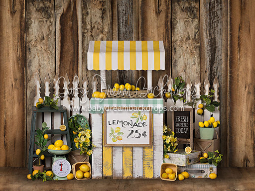 Lemonade Day - 6x8 - BS (Fleece)