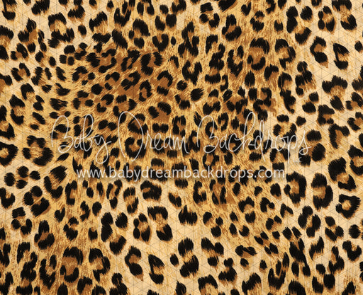 Leopard Love (CC)