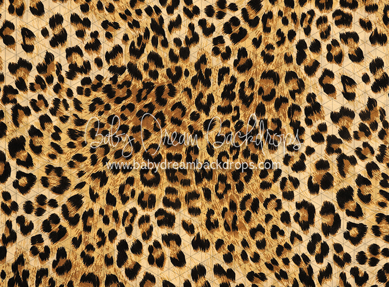 Leopard Love (CC)