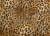 Leopard Love (CC)
