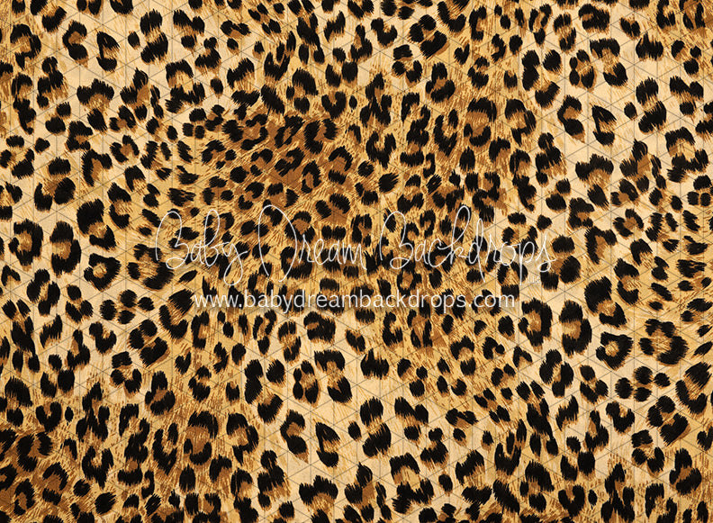 Leopard Love (CC)
