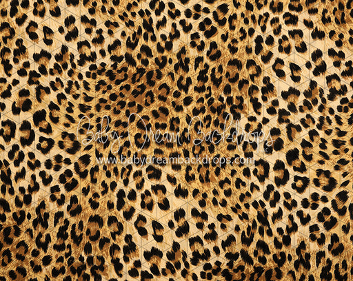 Leopard Love (CC)