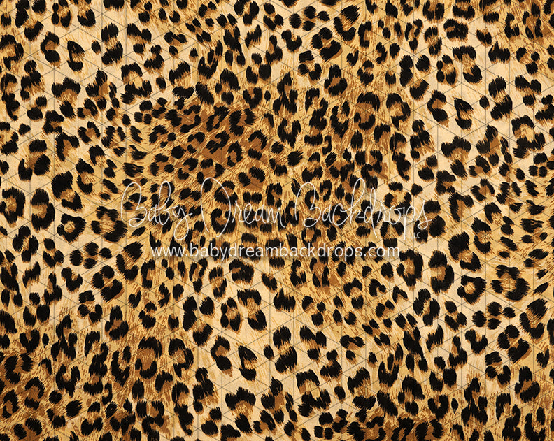 Leopard Love (CC)