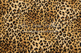 Leopard Love (CC)